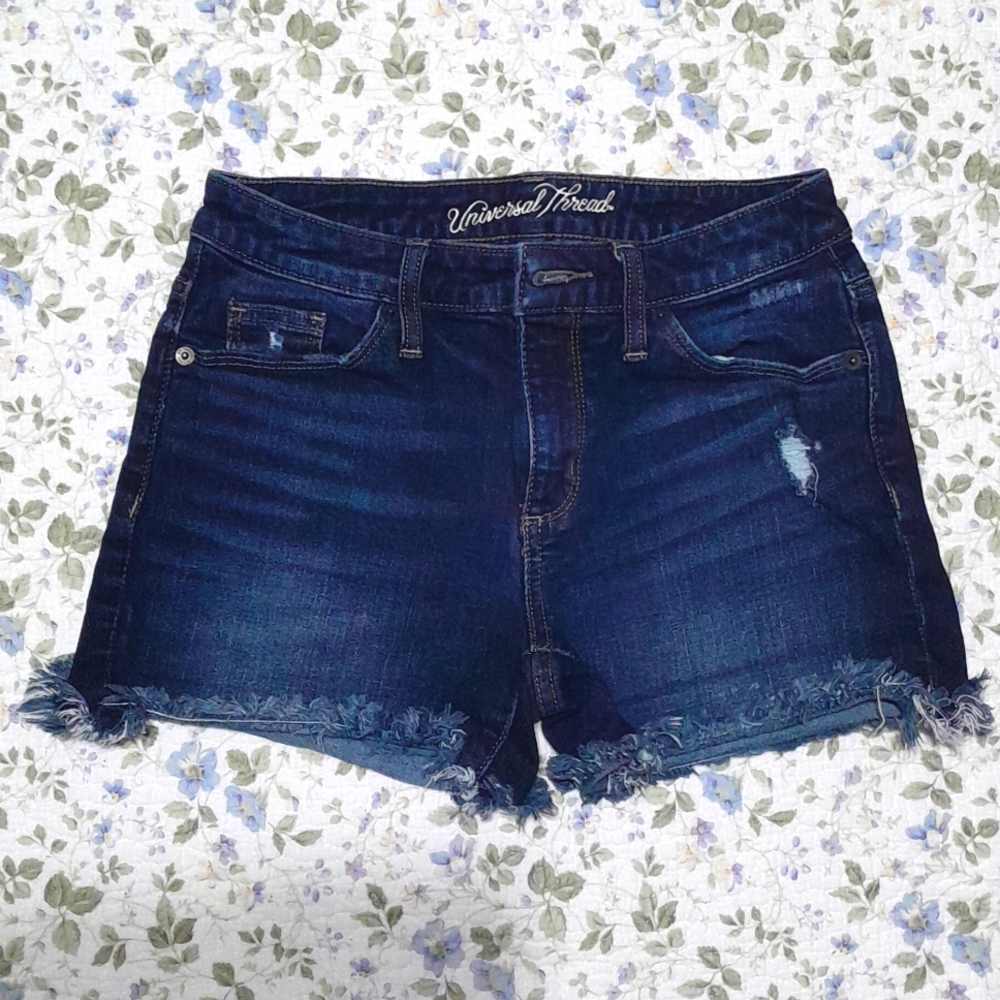 Universal Thread Shorts size 00/24